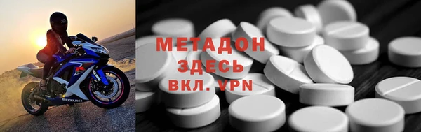 прущие грибы Бородино