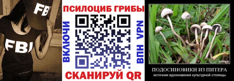 Псилоцибиновые грибы прущие грибы mega рабочий сайт даркнет как зайти Гаджиево